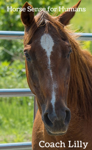Horse sense for humans